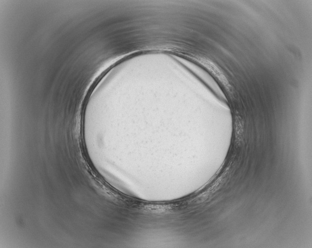 X0000115671044200912101108