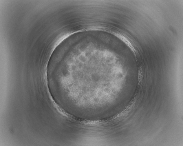 X0000115671047200912101108