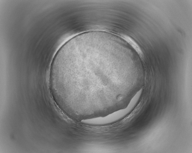 X0000115671052200912101108