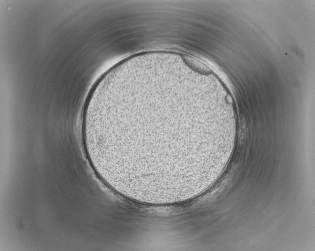 X0000115671053200912101108