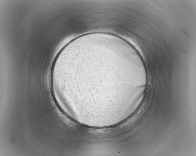 X0000115671054200912101108