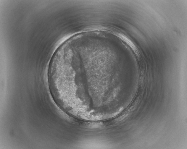 X0000115671055200912101108