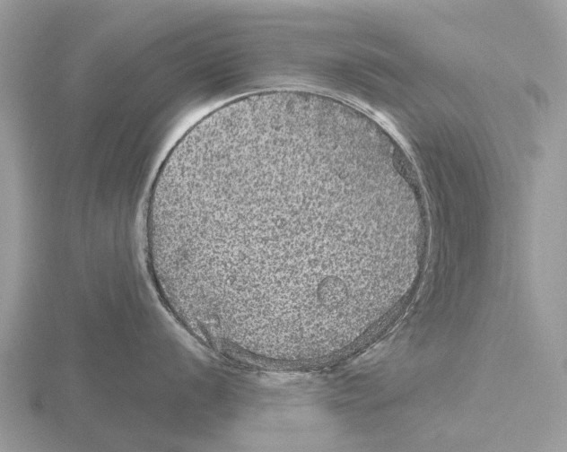 X0000115671056200912101108