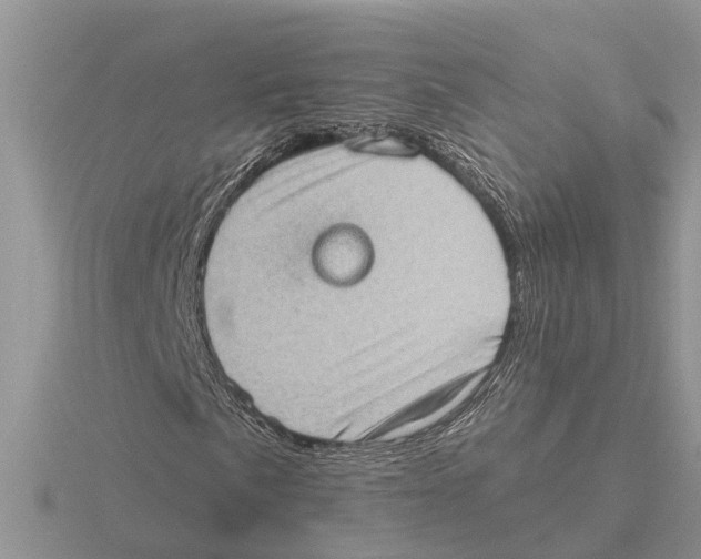 X0000115671057200912101107