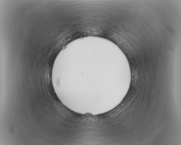 X0000115671058200912101107