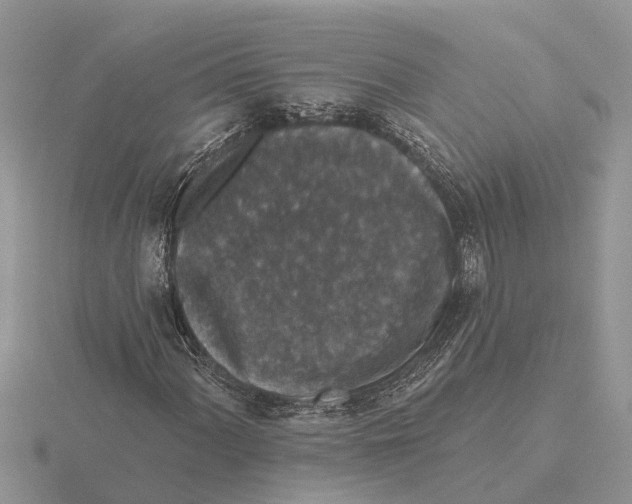 X0000115671060200912101107