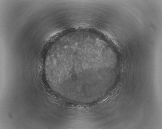 X0000115671063200912101107