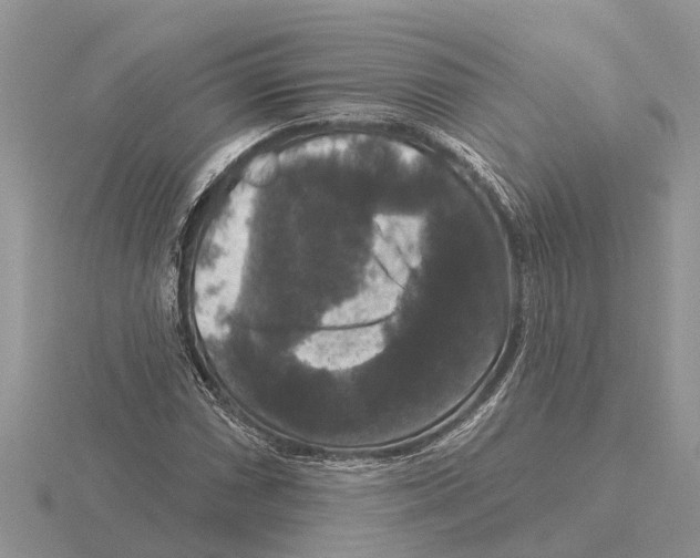 X0000115671066200912101107