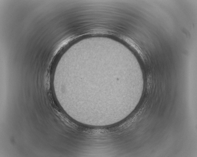 X0000115671067200912101107