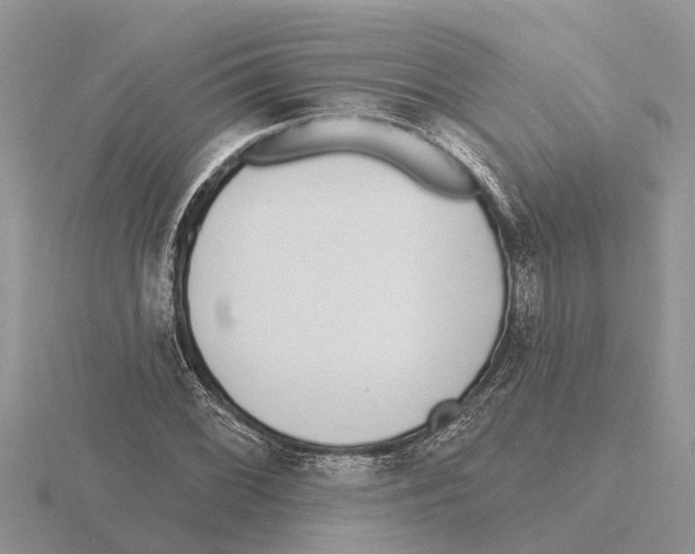 X0000115671068200912101107