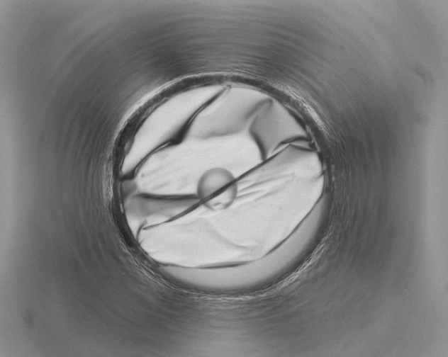 X0000115671069200912101107