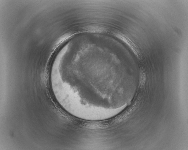 X0000115671074200912101107