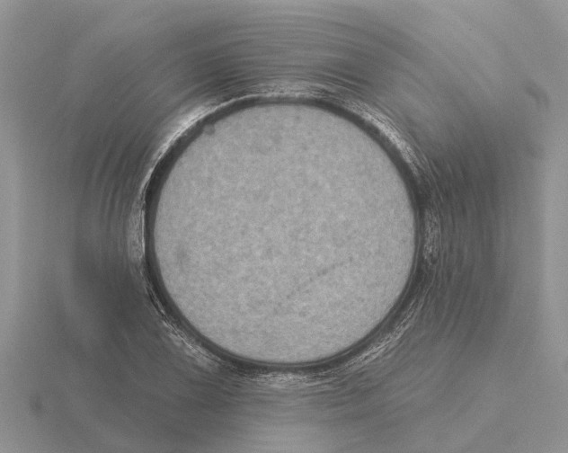 X0000115671075200912101107