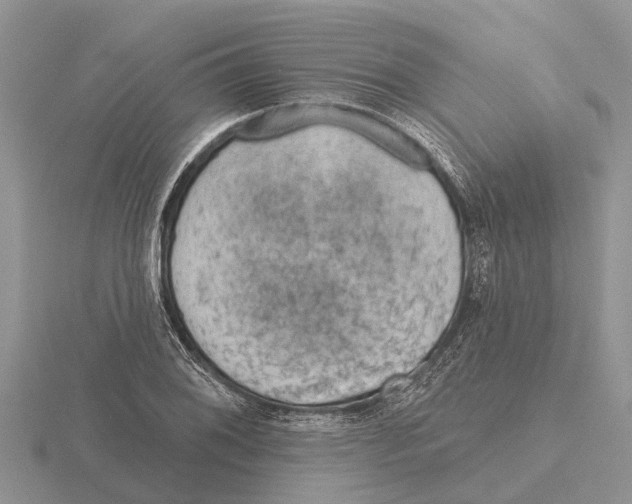 X0000115671076200912101107