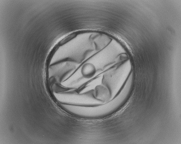 X0000115671077200912101107