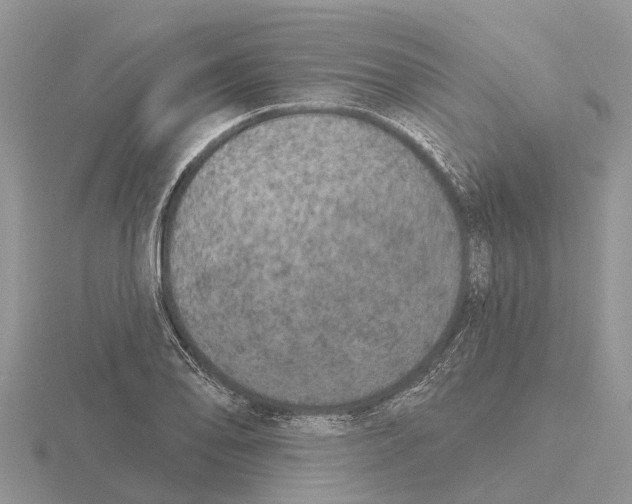 X0000115671078200912101107