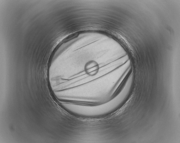 X0000115671081200912101107