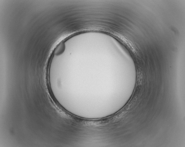 X0000115671086200912101107