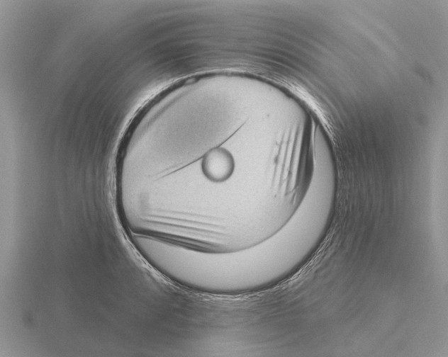 X0000115671088200912101107