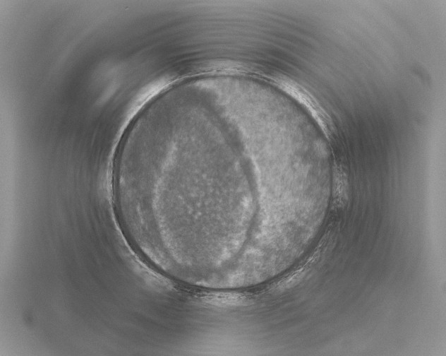 X0000115671090200912101107