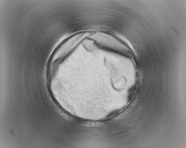 X0000115671091200912101107