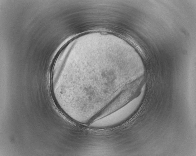 X0000115671092200912101107