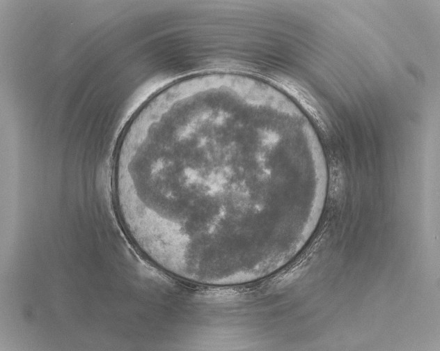 X0000115671094200912101107