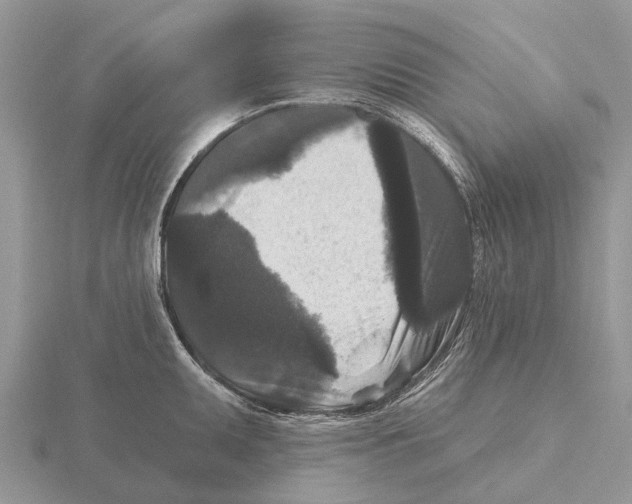 X0000115671095200912101107