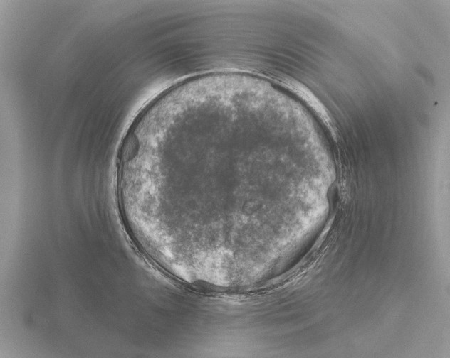 X0000115671096200912101107