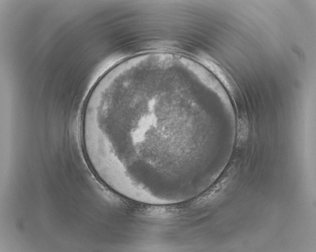 X0000115671098200912101107