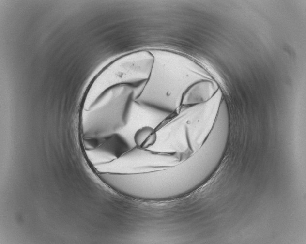 X0000115671100200912101107