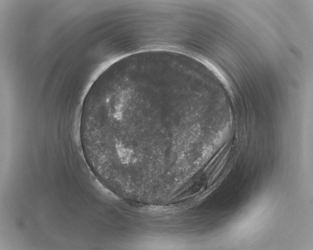 X0000115671102200912101107