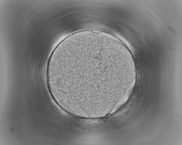 X0000115671103200912101107