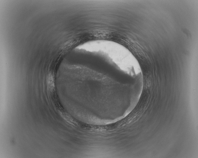 X0000115671106200912101106