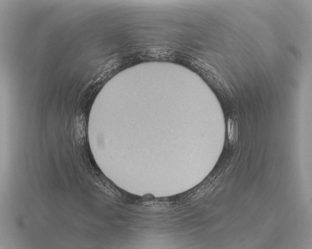 X0000115671107200912101106