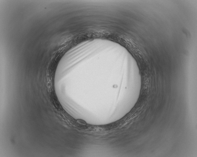 X0000115671109200912101106