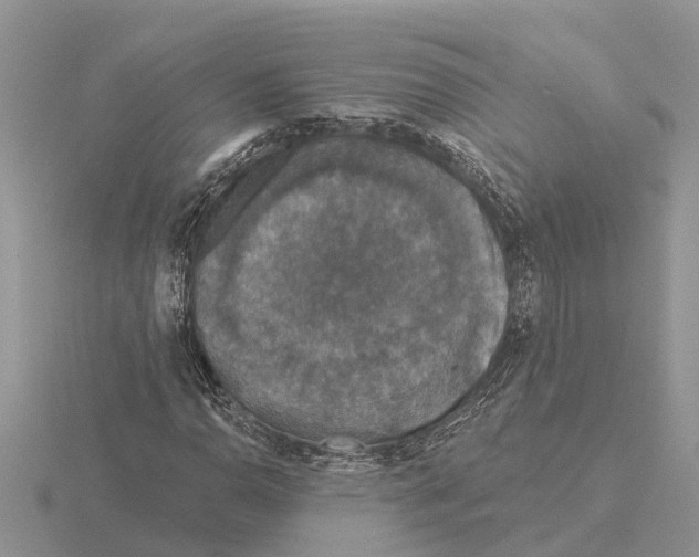 X0000115671110200912101106