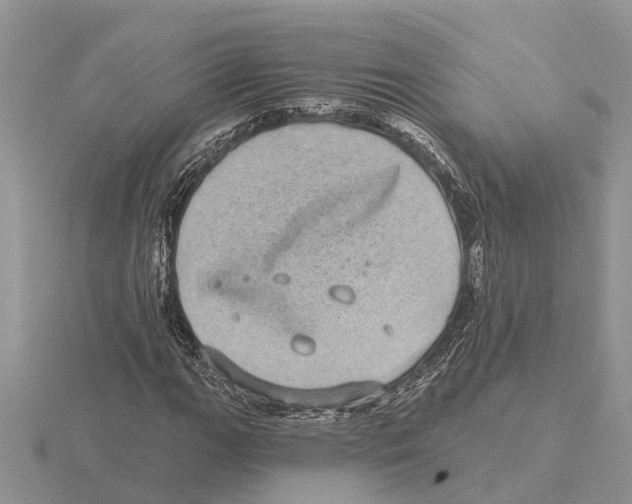 X0000115671111200912101106