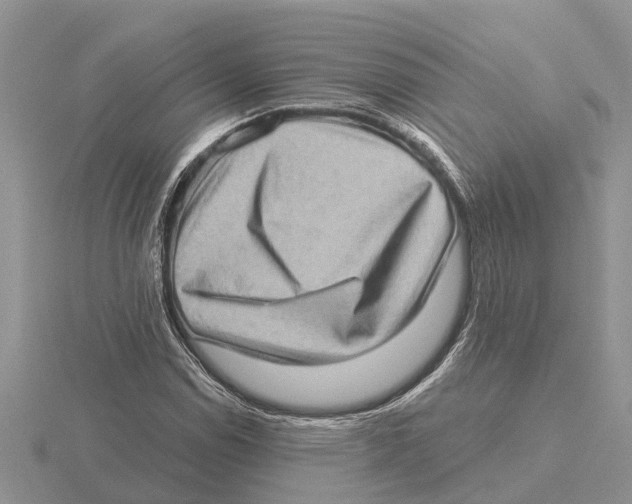 X0000115671114200912101106