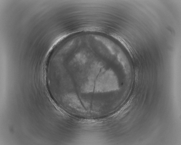 X0000115671115200912101106