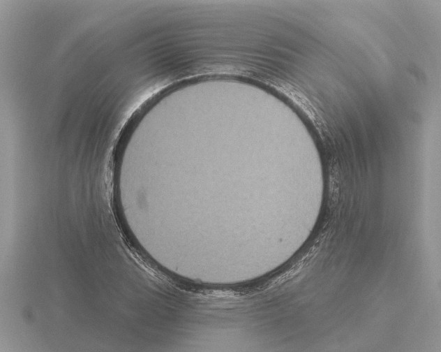 X0000115671119200912101106