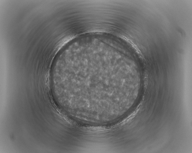 X0000115671121200912101106