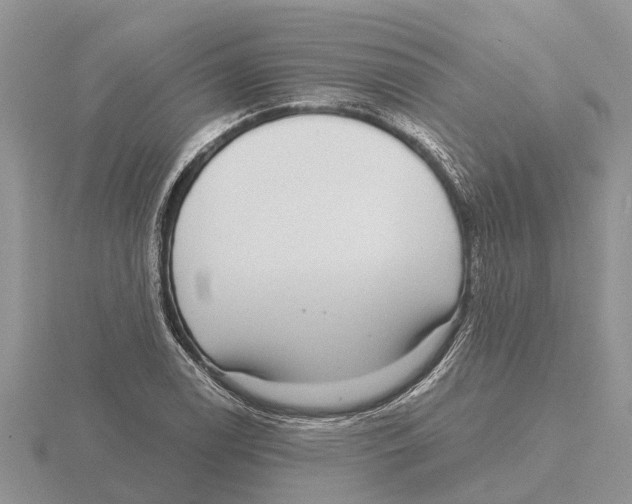 X0000115671122200912101106