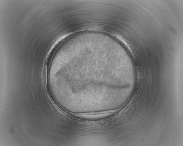 X0000115671123200912101106