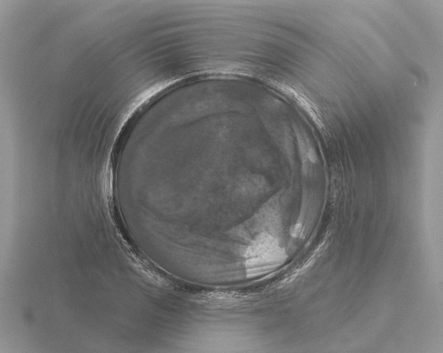 X0000115671125200912101106