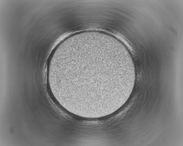 X0000115671126200912101106