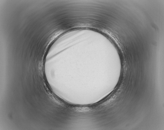 X0000115671129200912101106