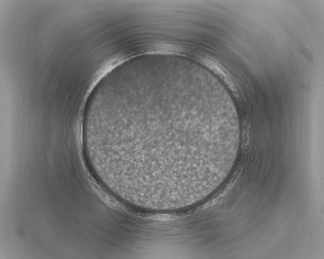 X0000115671130200912101106