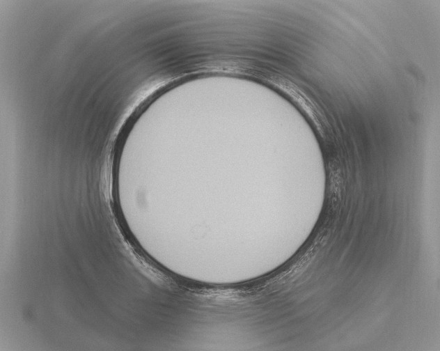 X0000115671131200912101106