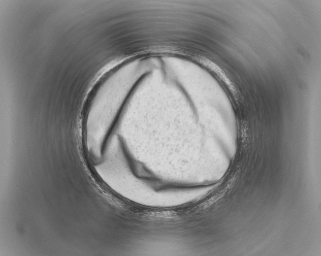 X0000115671133200912101106